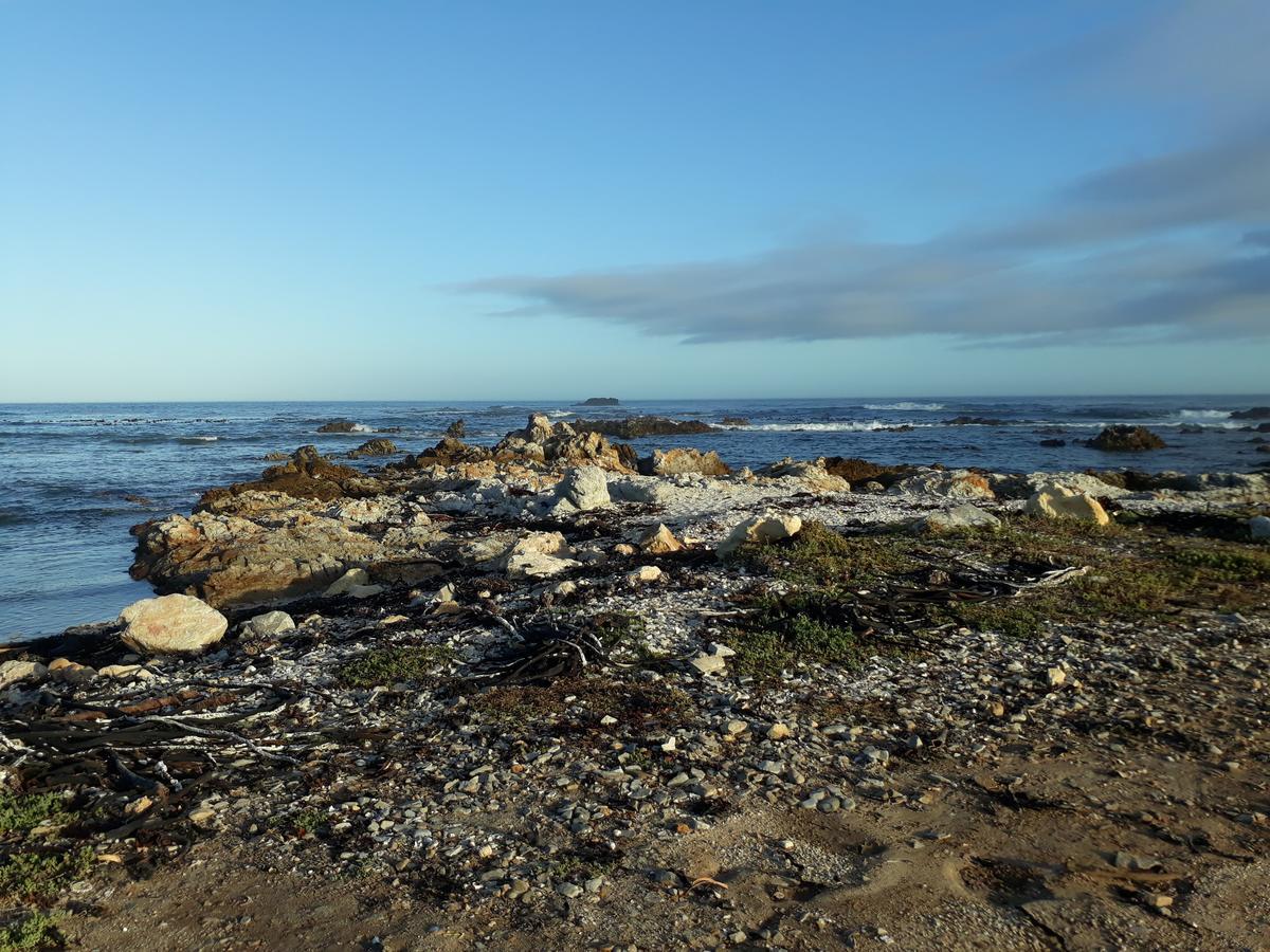 Pik 'N Wyntjie Apartment Gansbaai Luaran gambar